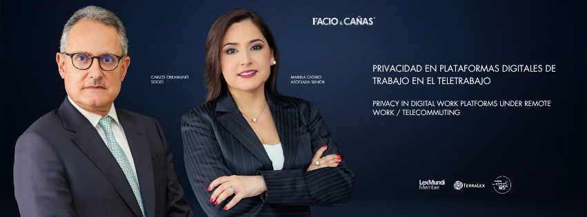 Privacy in Digital Work Platforms Under Remote Work / Telecommuting