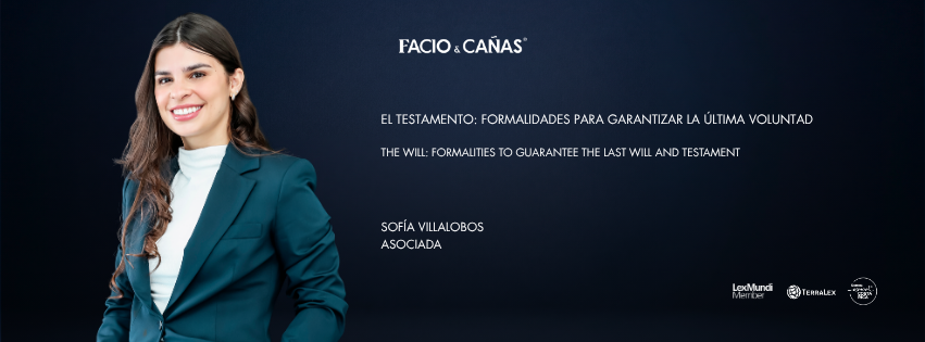 The Will: Formalities to Guarantee the Last Will and Testament