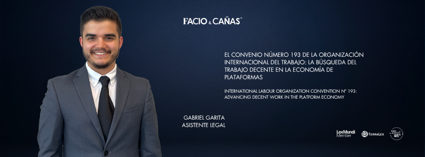 International Labour Organization Convention Nº 193: Advancing Decent Work in the Platform Economy